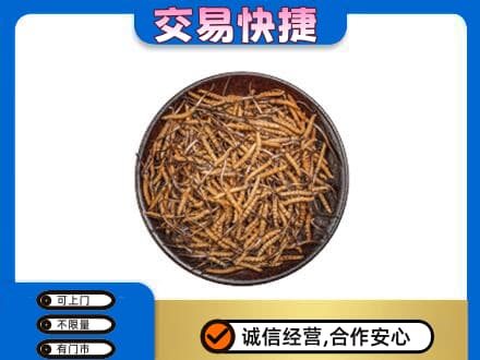 金华市东阳礼品回收虫草.jpg